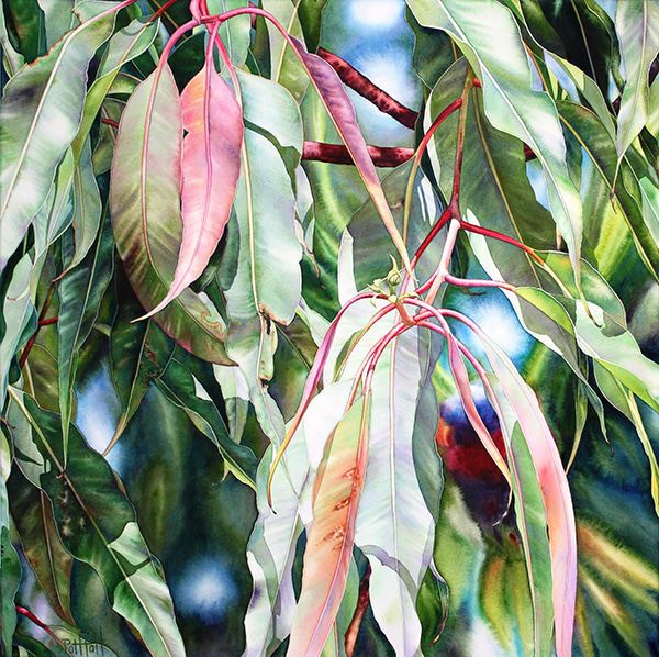 Seek by Pat Hall | Lethbridge Gallery